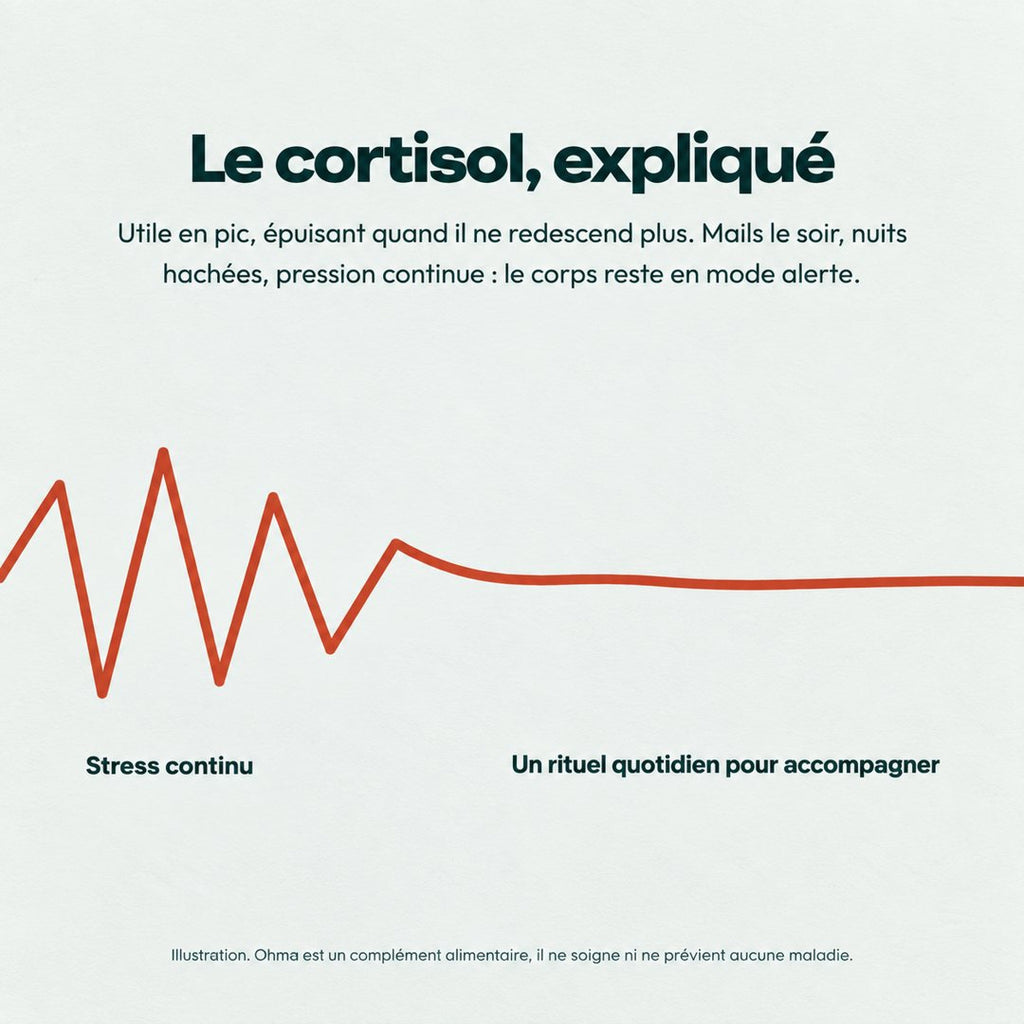 Le cortisol expliqué