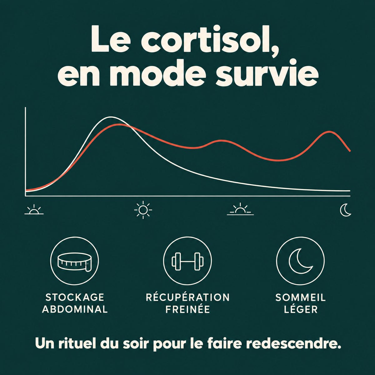 Le cortisol en mode survie